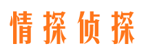 增城市侦探调查公司